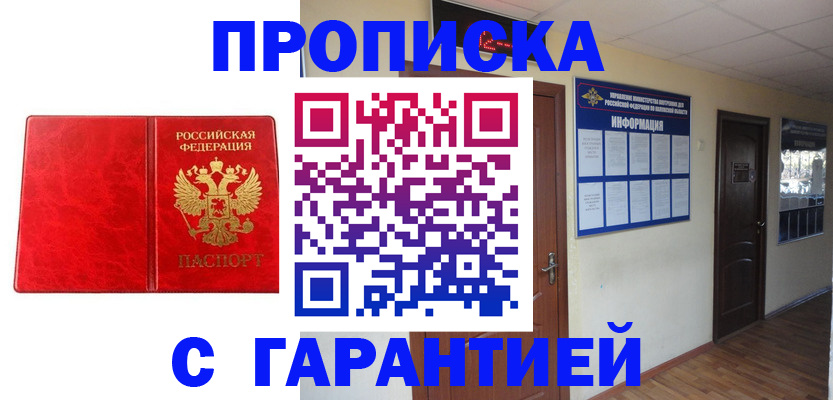 прописка для школы в Шумихе